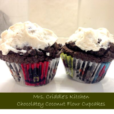 Chocolate Coconut Flour Cupcakes