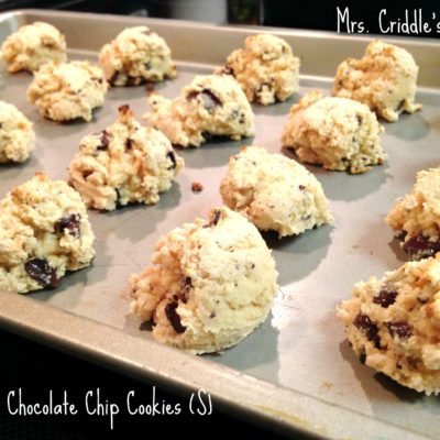 Coconut Chocolate Chip Cookies (S)